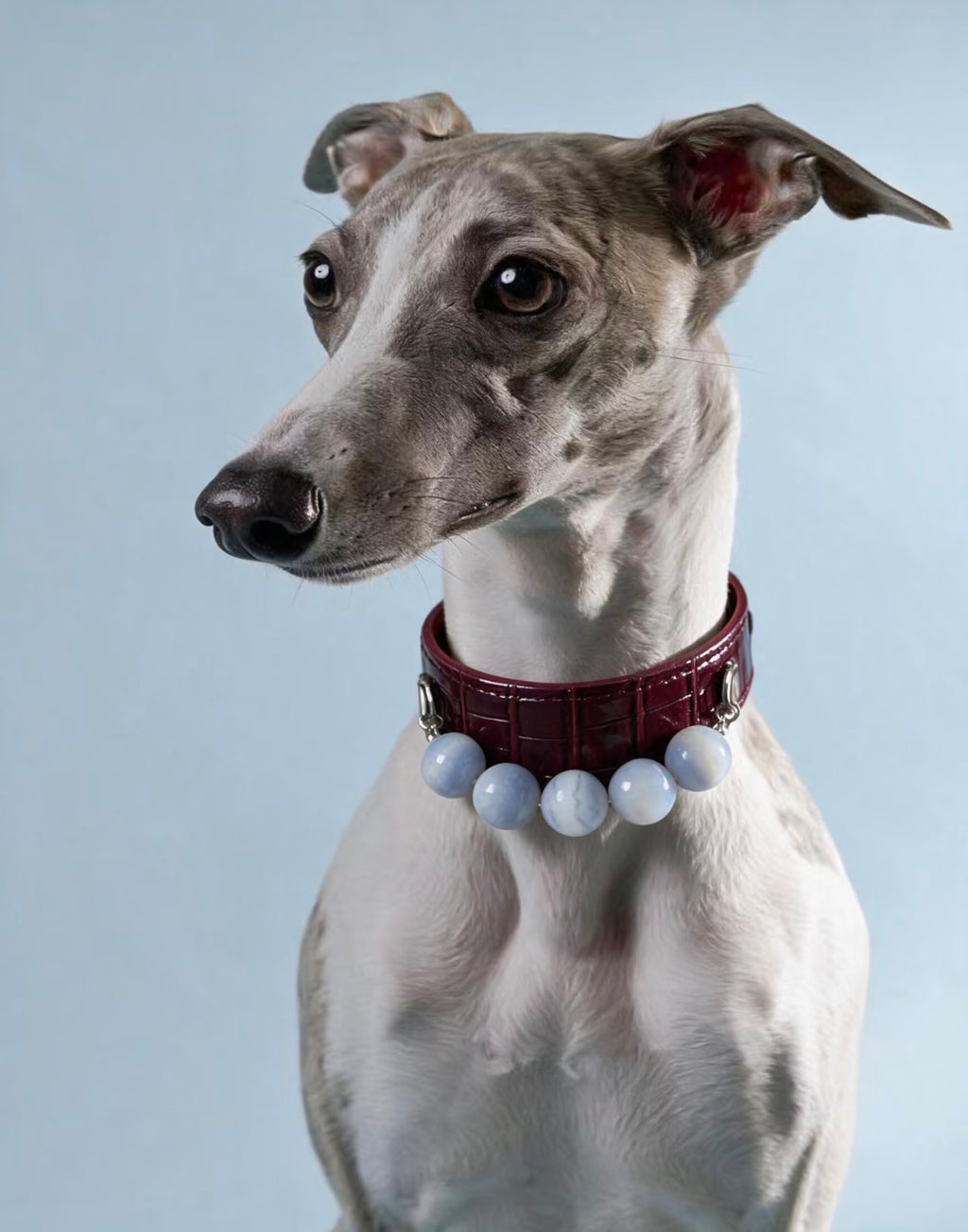 Burgundy Croc-Texture Crystal Dog Collar