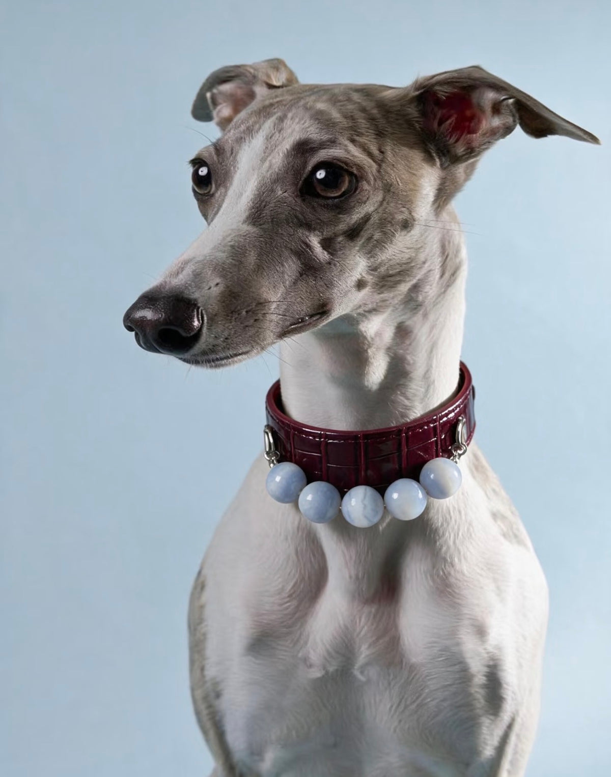 Burgundy Croc-Texture Crystal Dog Collar